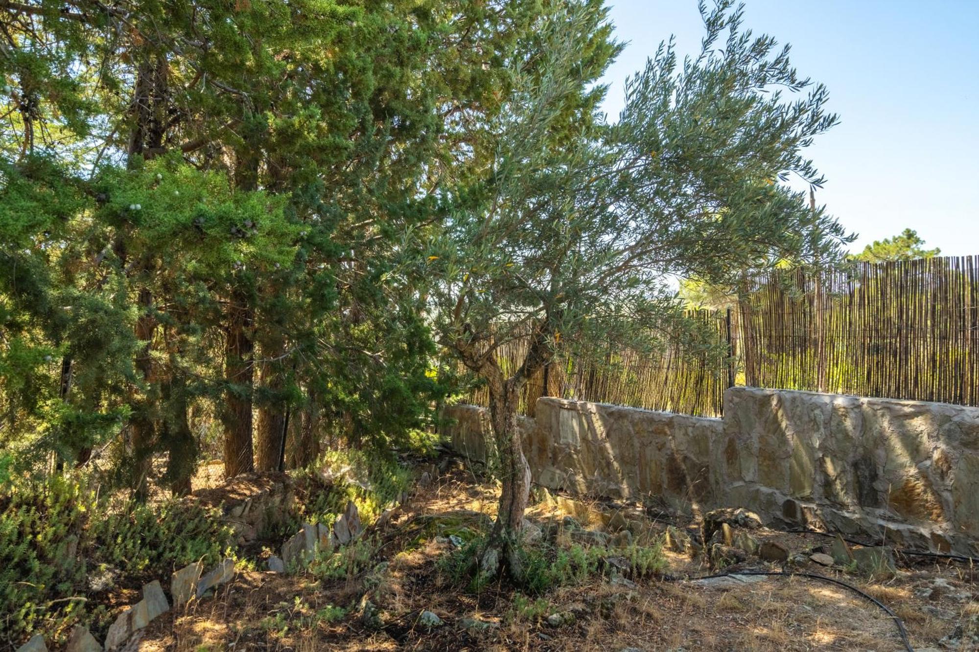 Casa Rural Los Olivos De Robledo De Chavela La Estacion المظهر الخارجي الصورة